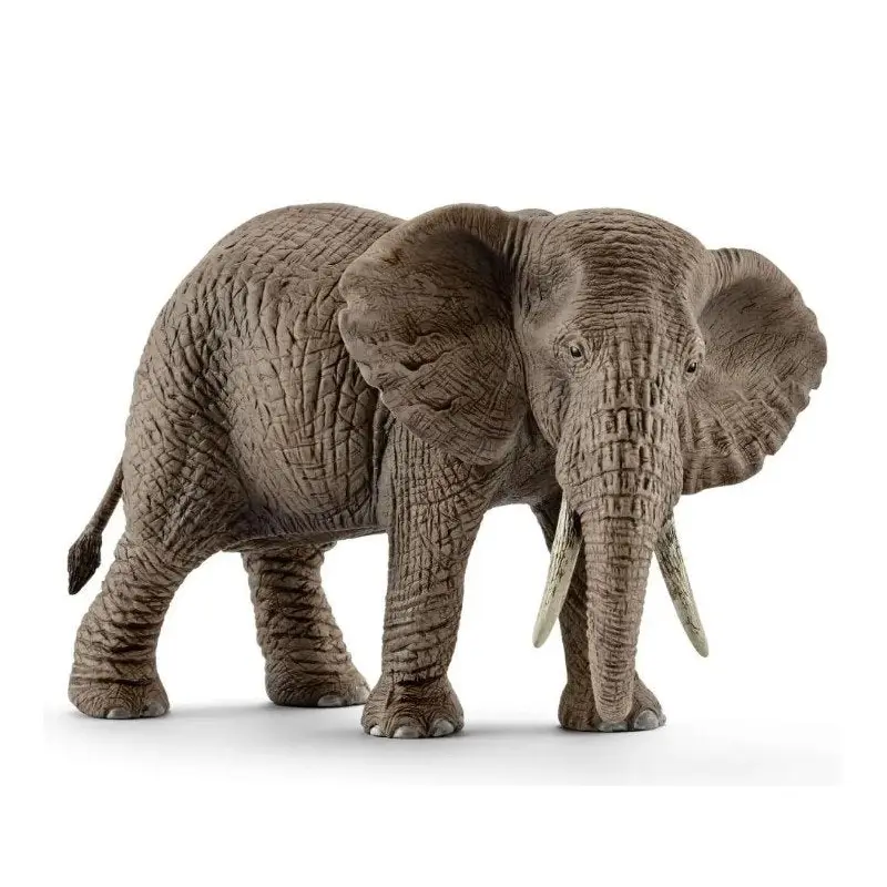 African Elephant, Female