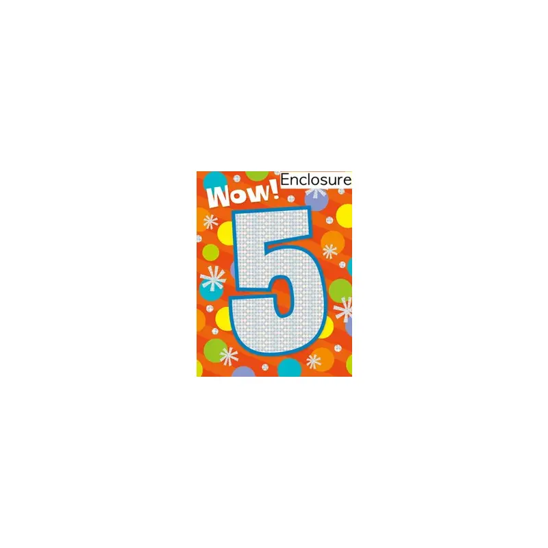 Age 5 Foil Gift Enclosure