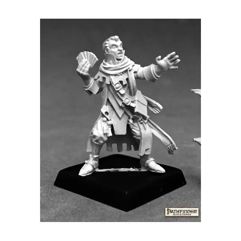 Erasmus Iconic Medium