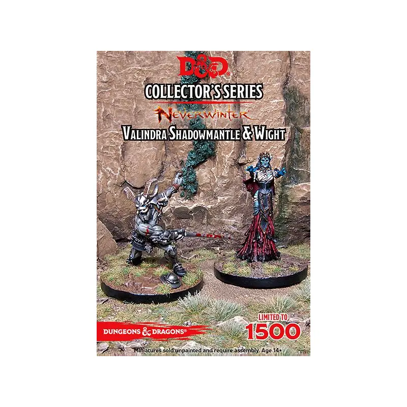 Dungeons and Dragons - Neverwinter Valindra Shadowmantle & Wight (2 Figs)