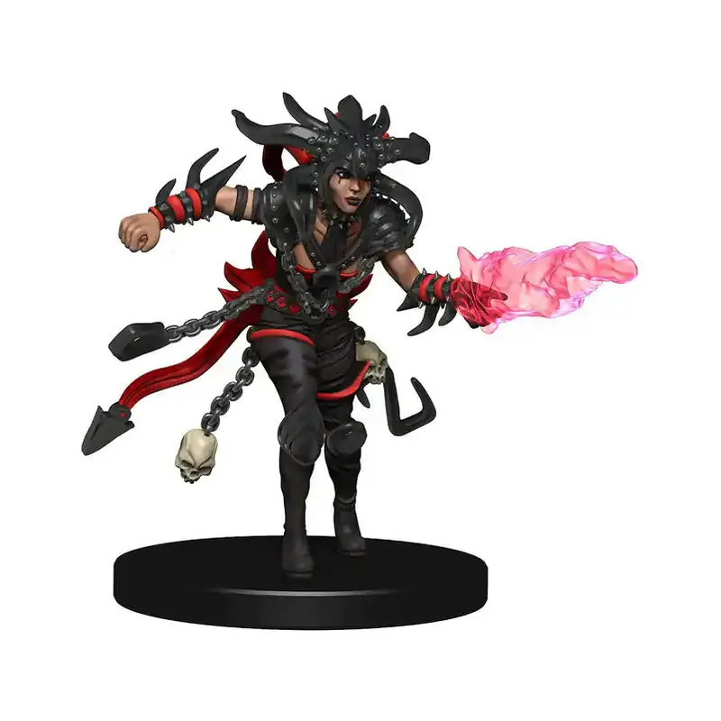 Dungeons and Dragons - Icons Of The Realms Guildmasters Guide To Ravnica Companion Starter Two