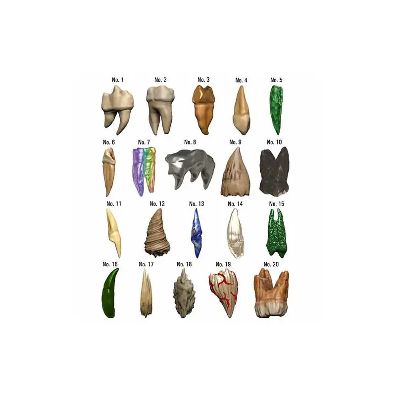 Dungeons & Dragons Teeth of Dahlver-Nar Bite-Sized Artifact