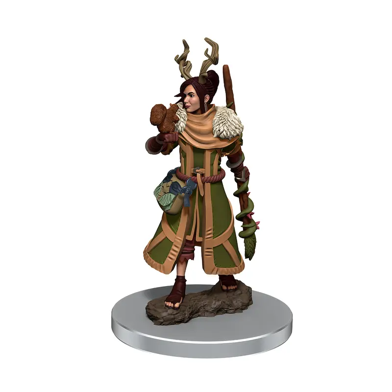 Dungeons & Dragons Premium Painted Figures Human Druid Female