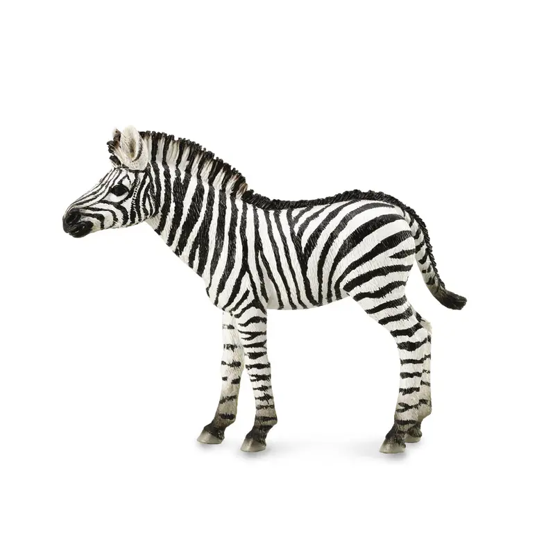 Collecta Zebra Foal (M)