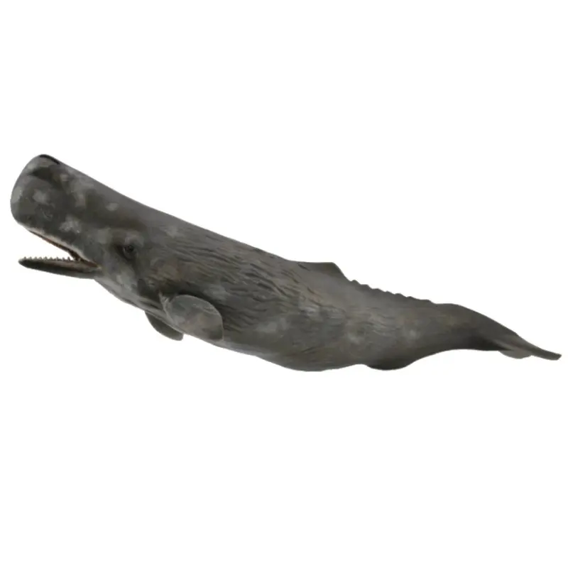 Collecta Sperm Whale (Xl)