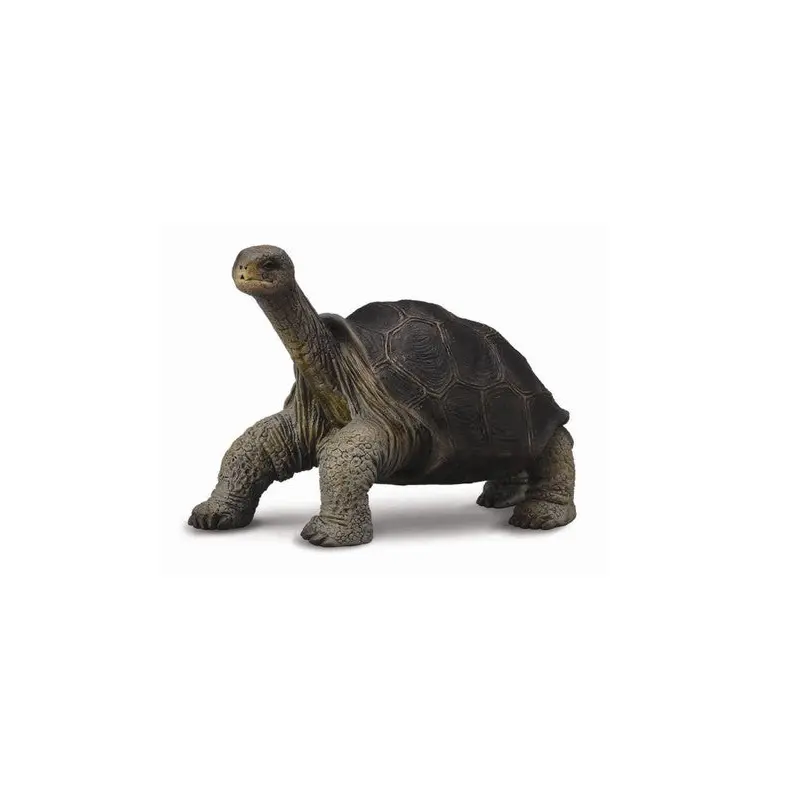 Collecta Tortoise Pinta Island (George) (M)