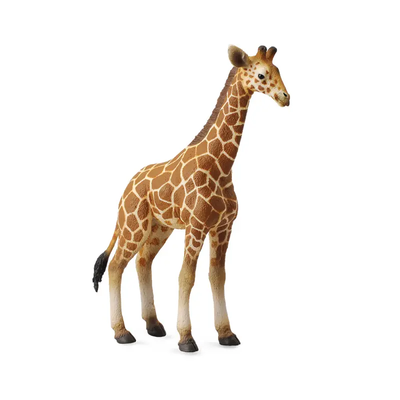 Collecta Reticulated Giraffe Calf (L)