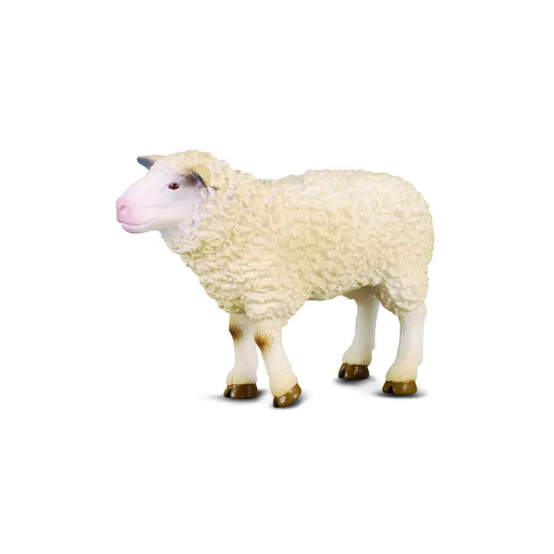 Collecta Sheep (M)