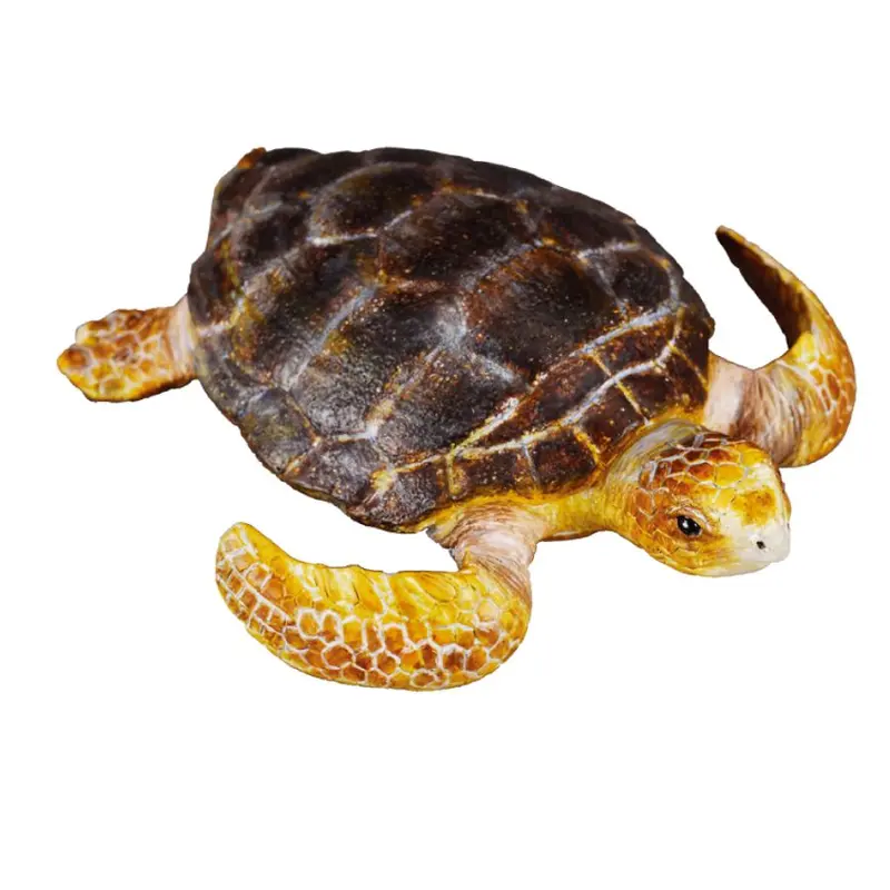 Collecta Loggerhead Turtle (M)