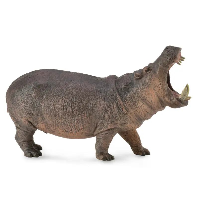 Collecta Hippopotamus (Xl)