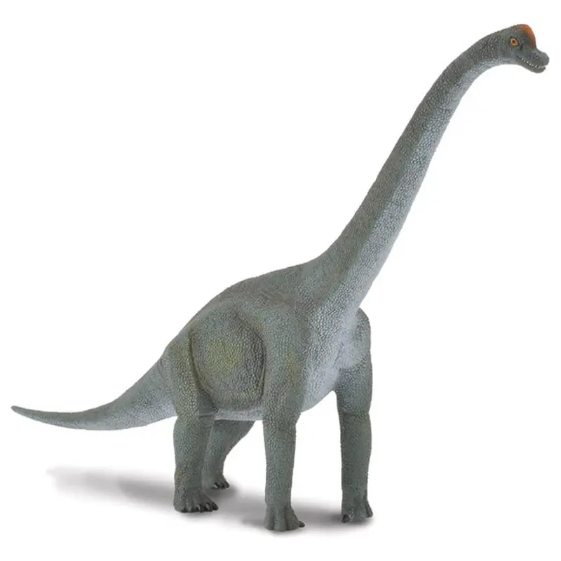 Collecta Brachiosaurus (L)