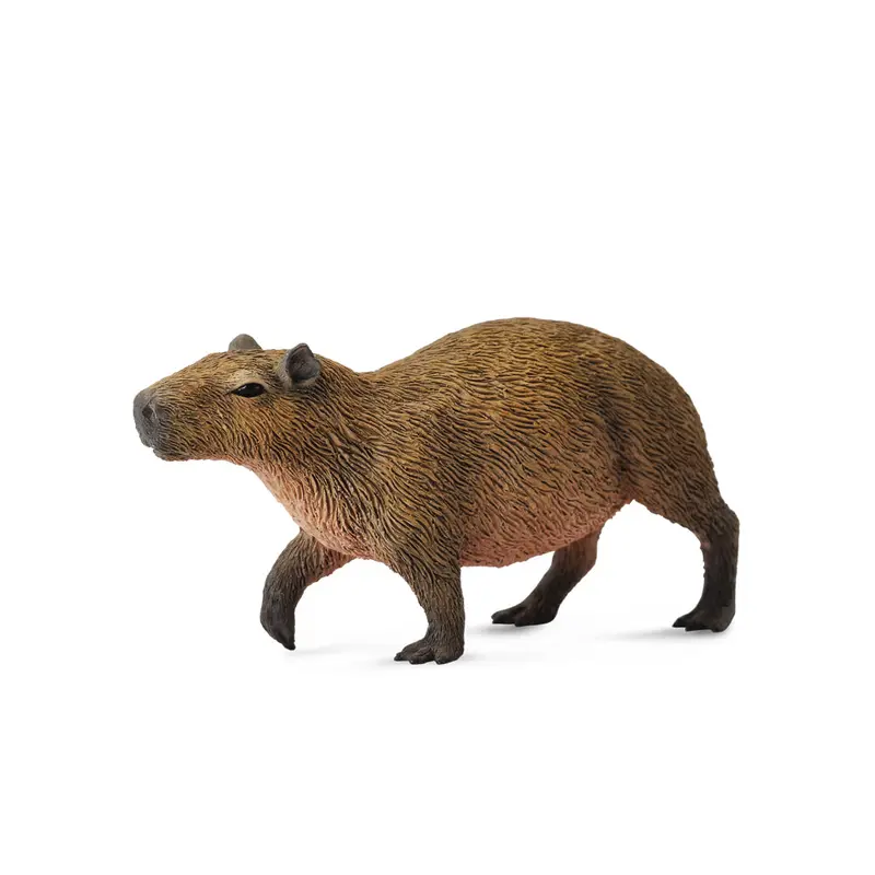 Collecta Capybara (M)