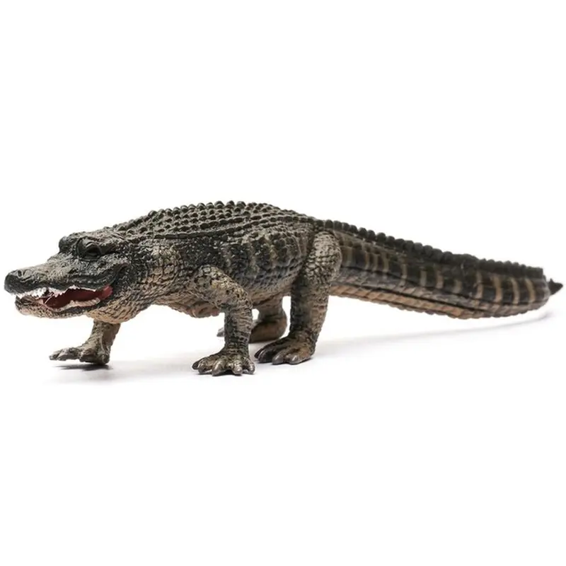 Collecta American Alligator - L