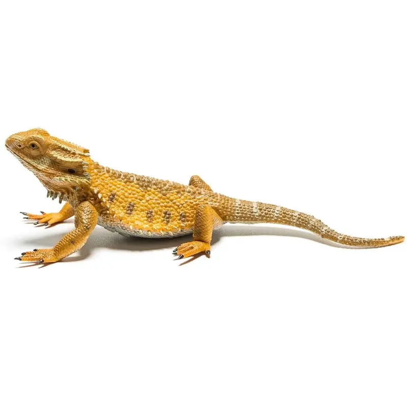 Collecta Bearded Dragon Lizard (L)