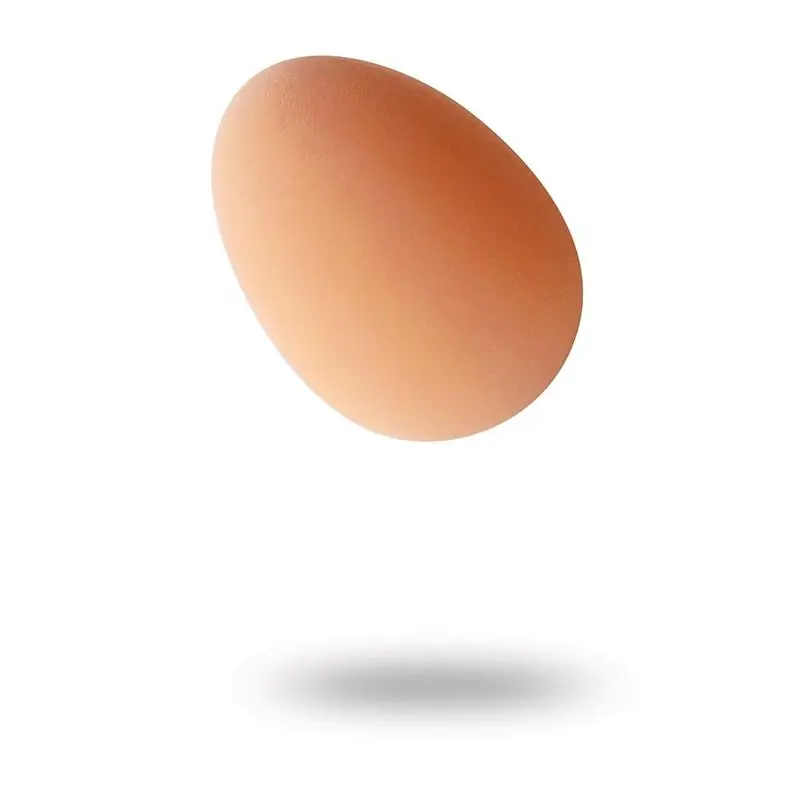 Bouncing Egg